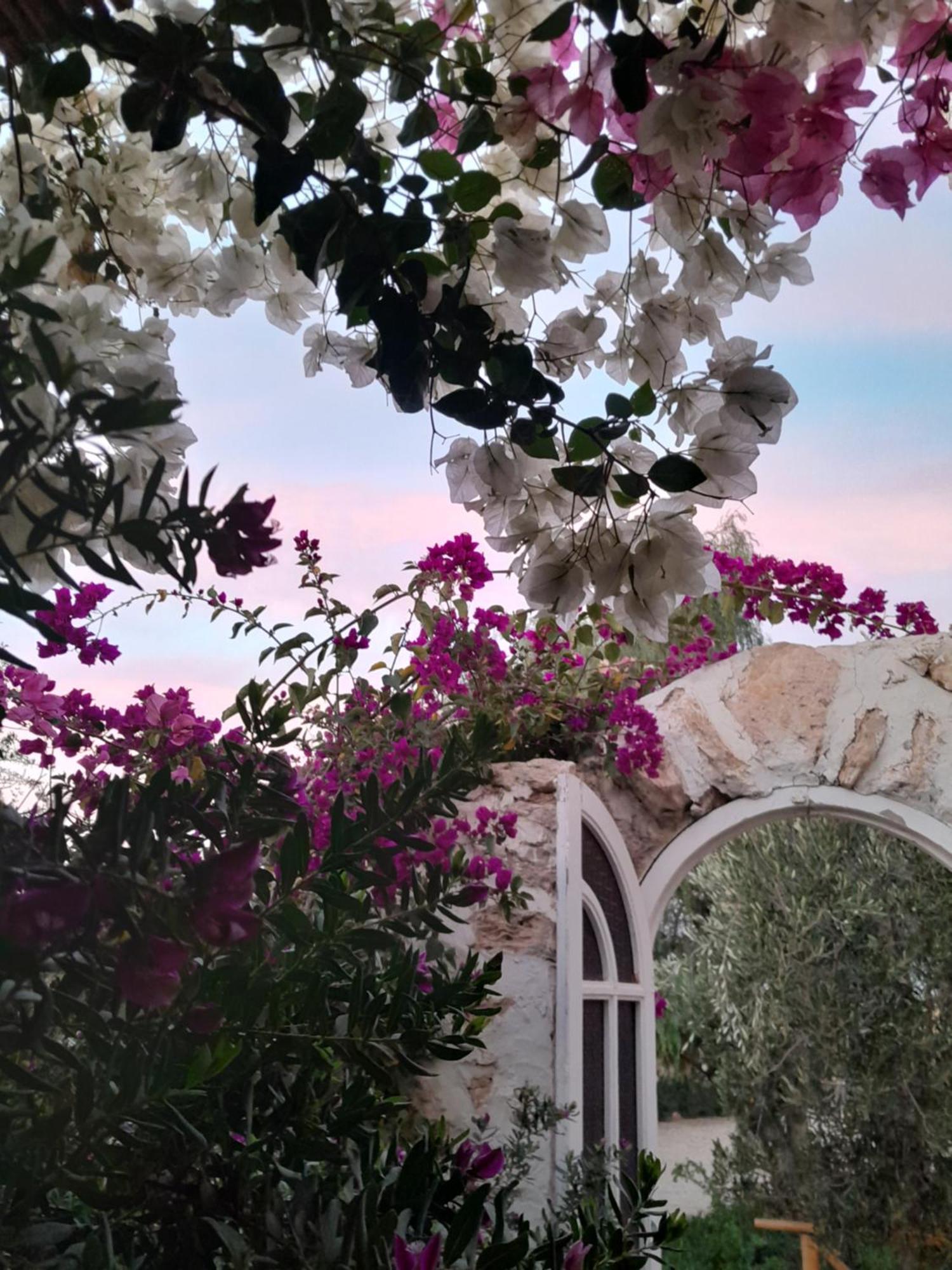 Riad Sanam เอสเซาอิรา ภายนอก รูปภาพ