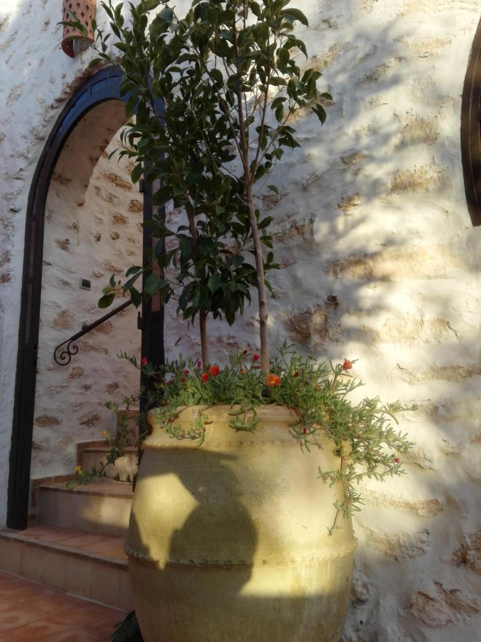 Riad Sanam เอสเซาอิรา ภายนอก รูปภาพ